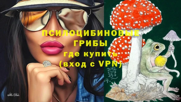 индика Армянск
