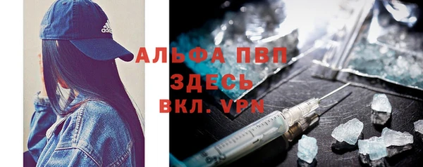 индика Армянск