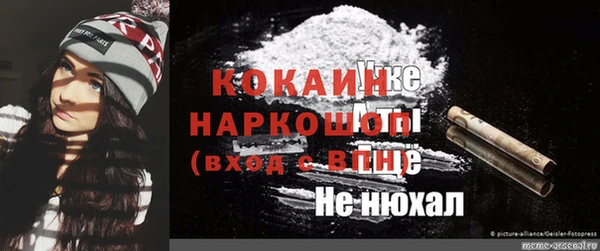 индика Армянск